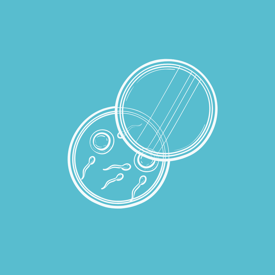 IUI/IVF Prep Support