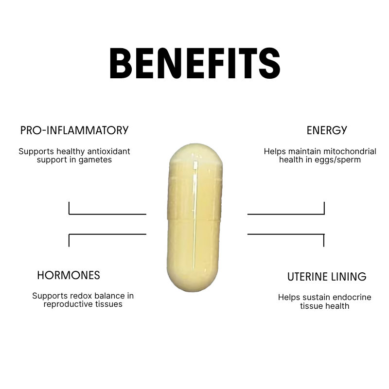 Lipoic Acid for Metabolic, Energy & Egg Health - 500mg