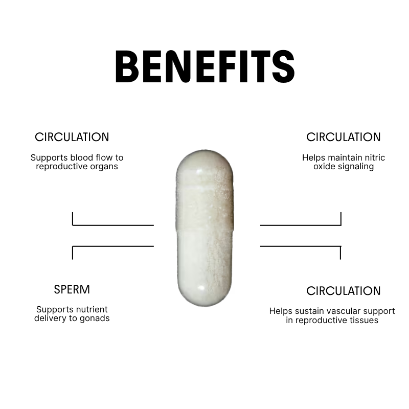 Arginine for Blood Flow, Energy & Reproductive Health - 500mg