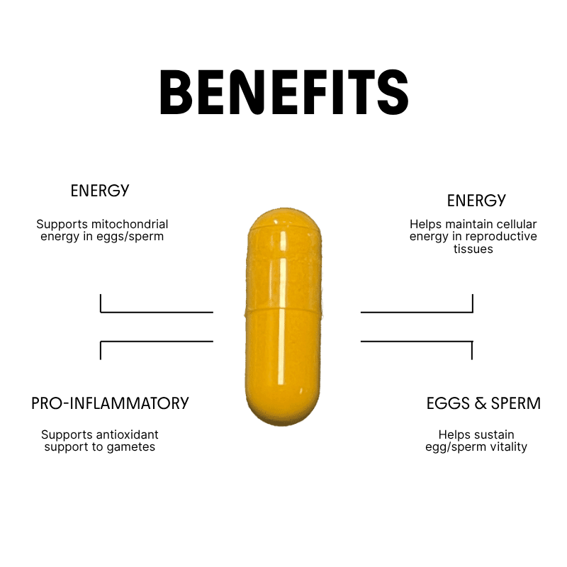 CoQ10 for Energy, Egg & Sperm Vitality