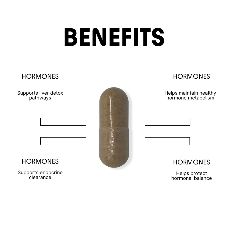 Milk Thistle for Liver & Hormone Metabolism Support - 450mg