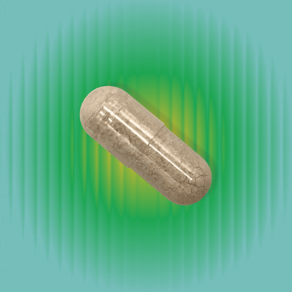 NAC for Metabolic & Egg / Ovarian Protection - 600mg