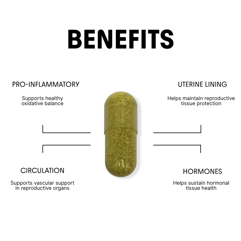 Quercetin for Hormonal & Metabolic Support - 200mg