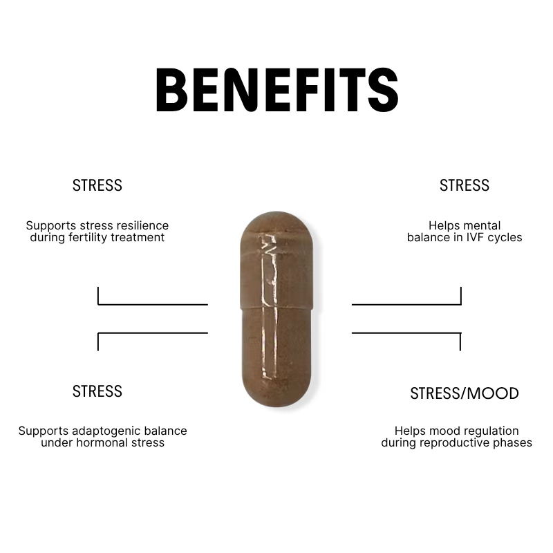 Rhodiola for Reproductive Stress & Resilience - 250mg