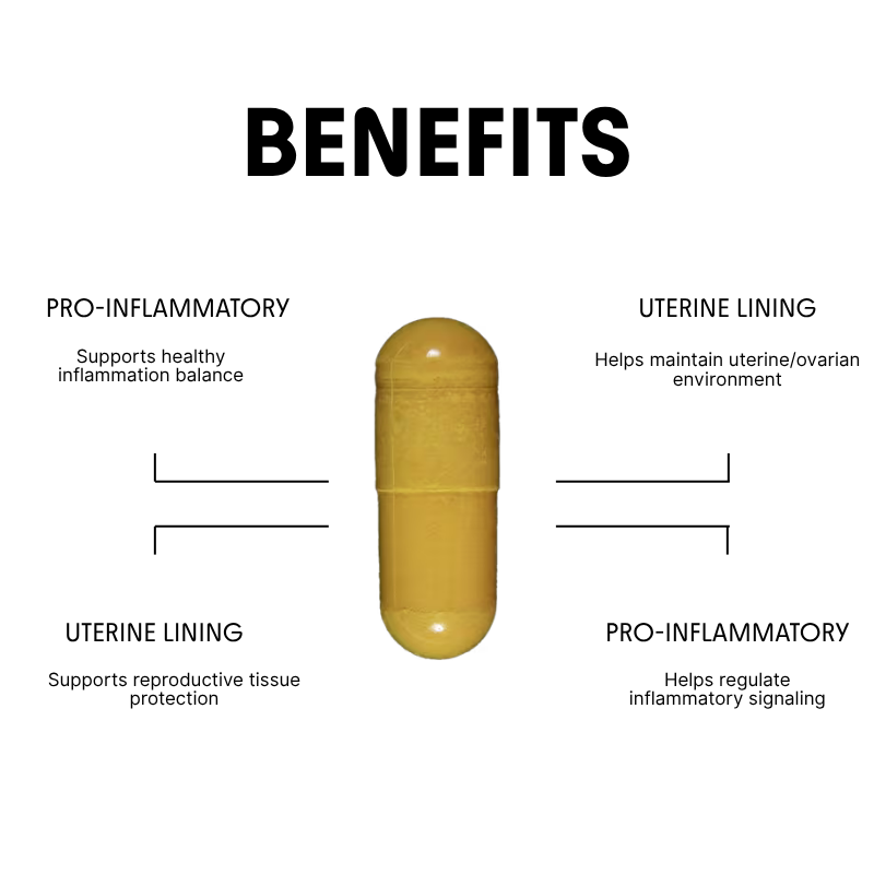 Turmeric for Metabolism & Hormonal Support - 450mg