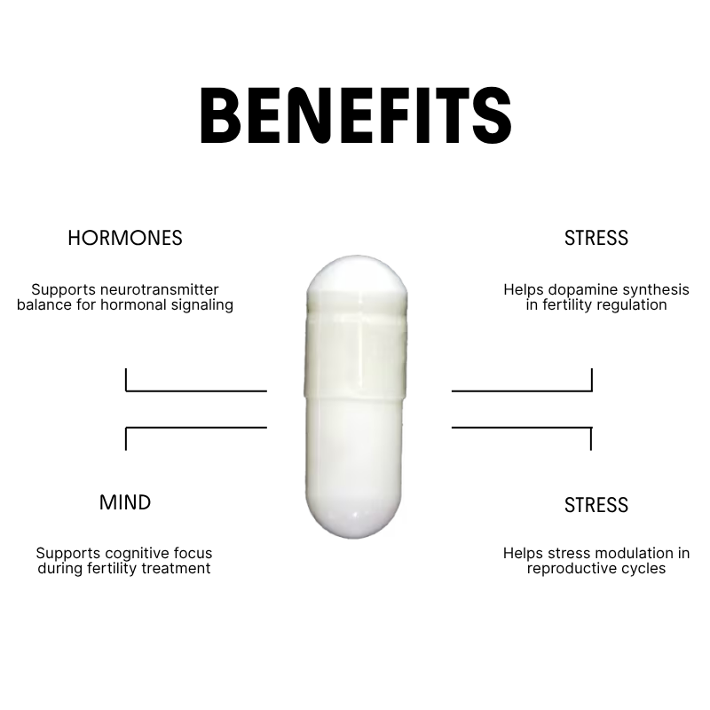 Tyrosine for Hormonal & Neuro Support in Fertility