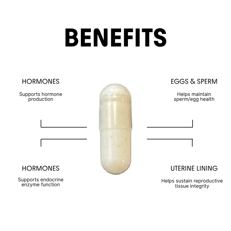 Zinc for Hormones, Ovary & Sperm Support - 25mg