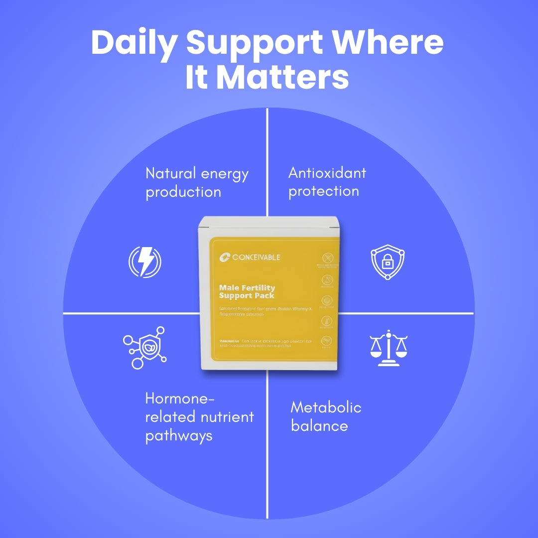 Male Fertility Support Pack - 30 Day Supply