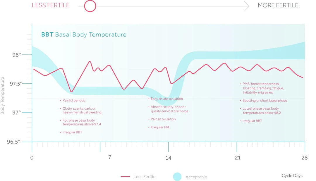 Bbt Patterns That Indicate Fertility Issues