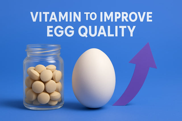 7 Essential Vitamin to Improve Egg Quality in 2026