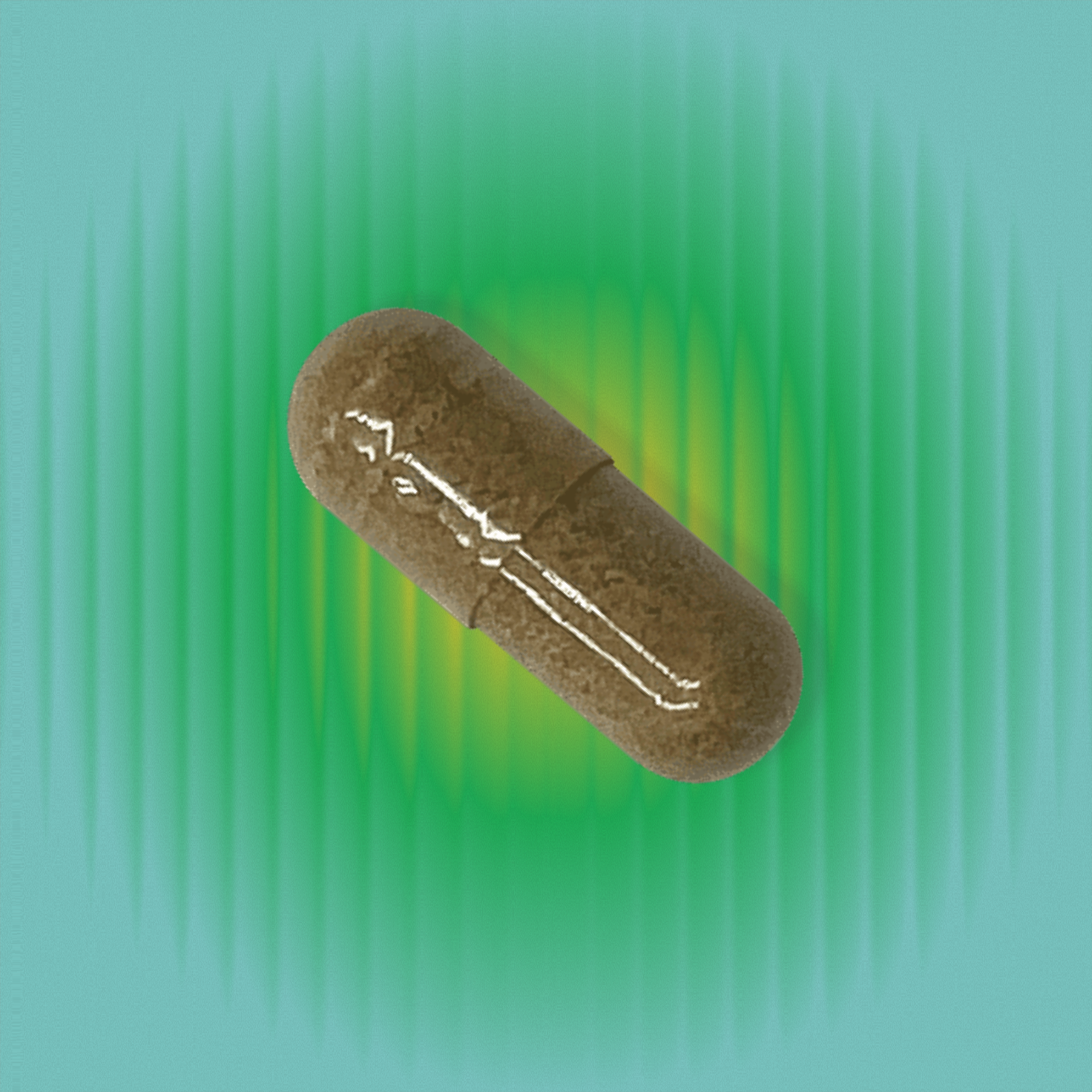 Ashwagandha for Hormone Balance & Stress Support