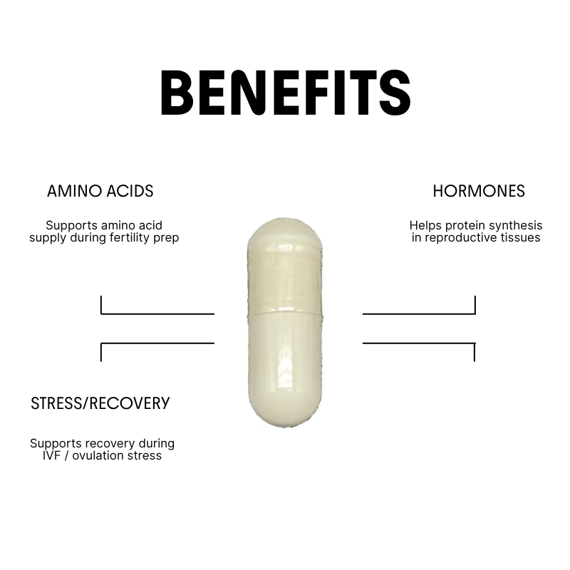 BCAA for Fertility Support & Recovery