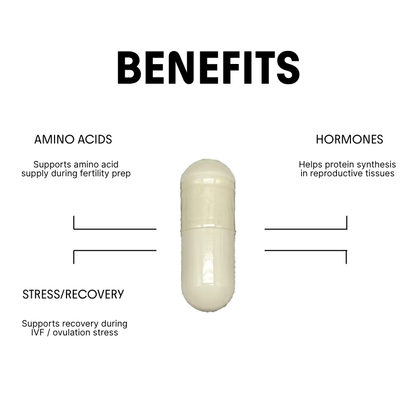 BCAA for Fertility Support & Recovery