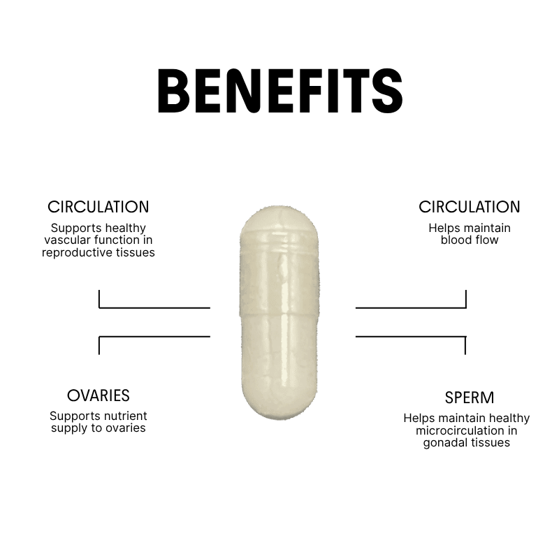 Citrulline for Energy & Ovarian Circulation