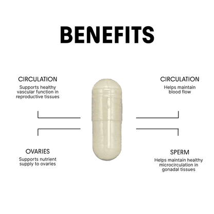 Citrulline for Energy & Ovarian Circulation