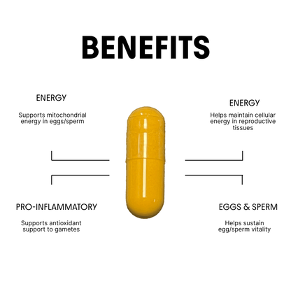 CoQ10 for Energy, Egg & Sperm Vitality