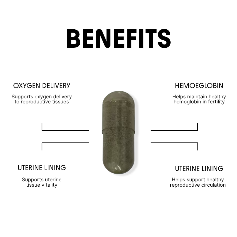 Easy Iron for Healthy Blood & Reproductive Support