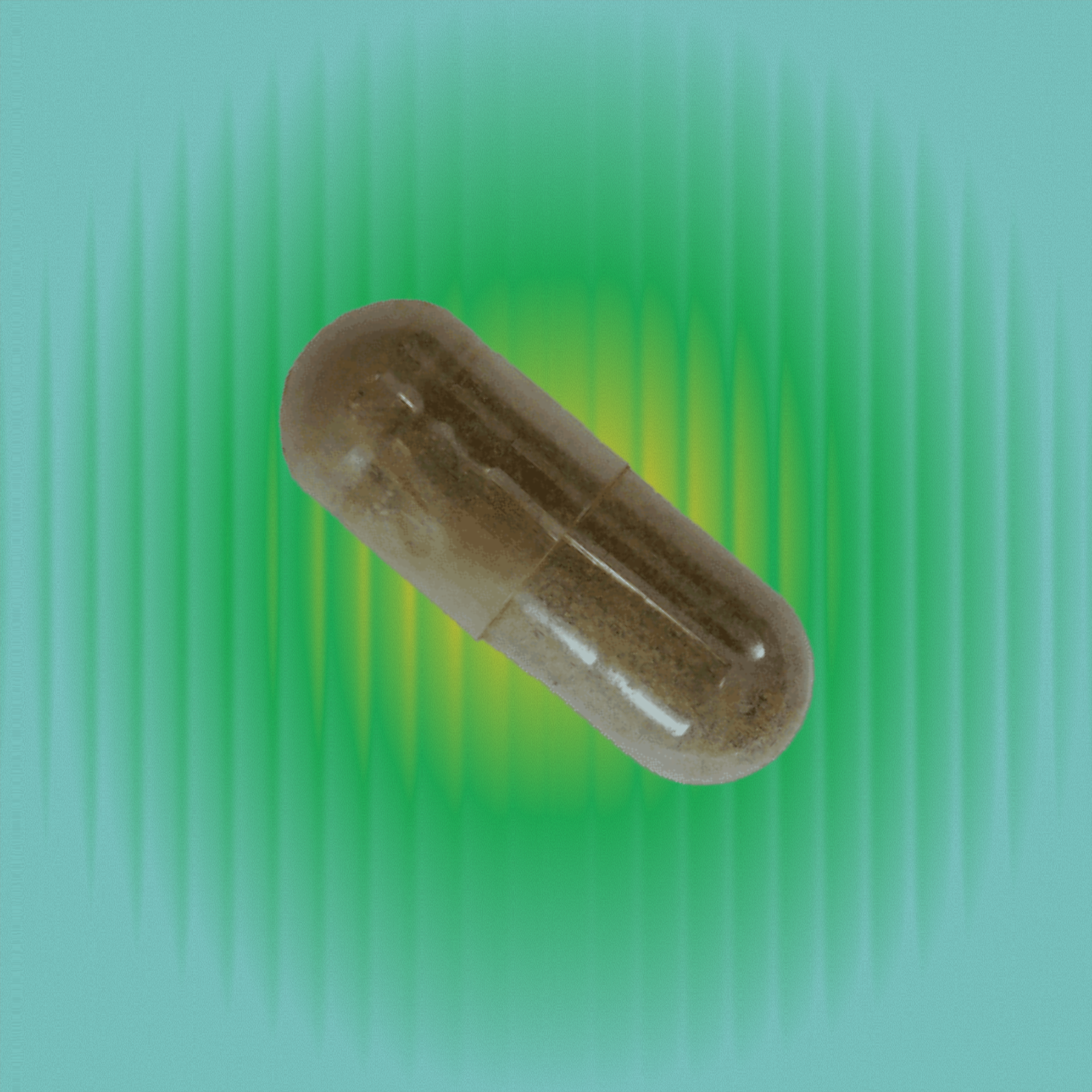 Coleus Forskohlii for Ovulation & Metabolic Support