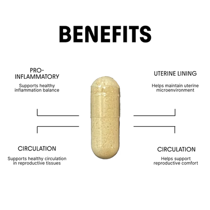 Ginger Root for Blood Flow & Metabolic Support