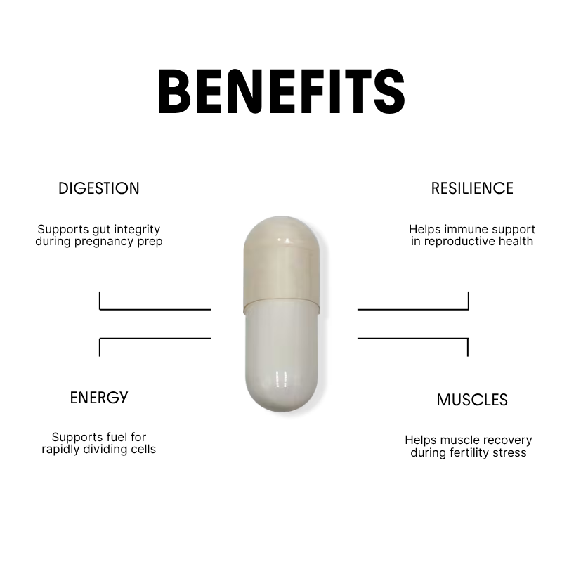Glutamine for Reproductive & Gut Support