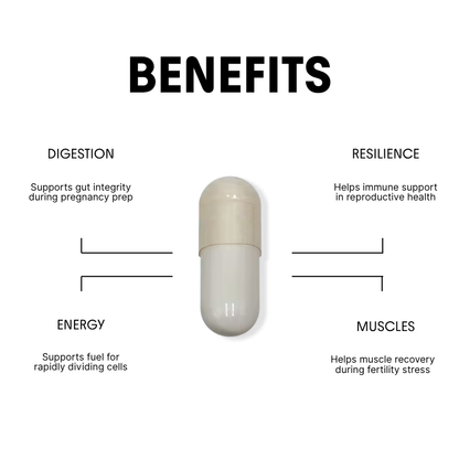 Glutamine for Reproductive & Gut Support