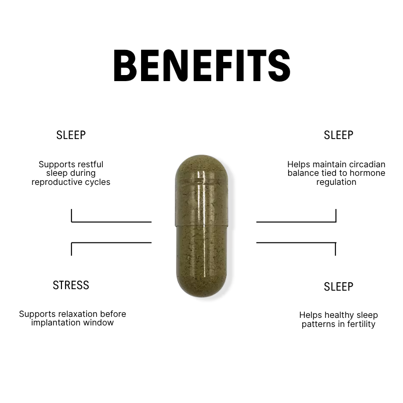 Herbal Sleep Blend for Hormonal & Reproductive Rest