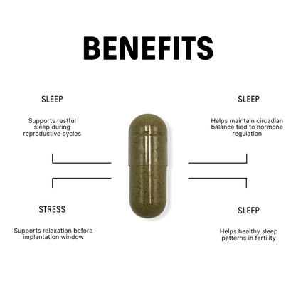 Herbal Sleep Blend for Hormonal & Reproductive Rest