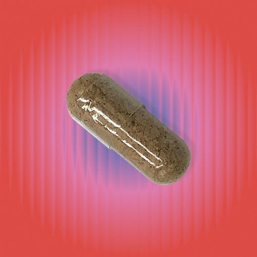 Lion’s Mane for Stress & Hormonal Balance