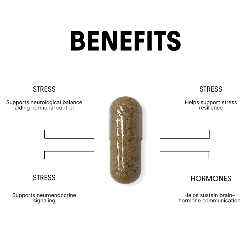 Lion’s Mane for Stress & Hormonal Balance