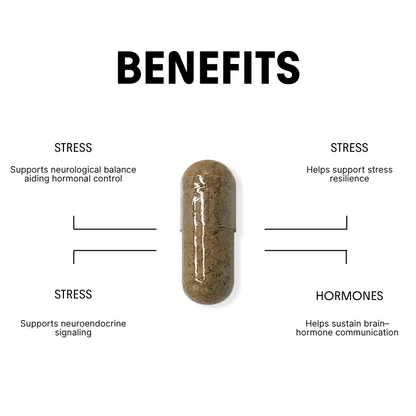 Lion’s Mane for Stress & Hormonal Balance