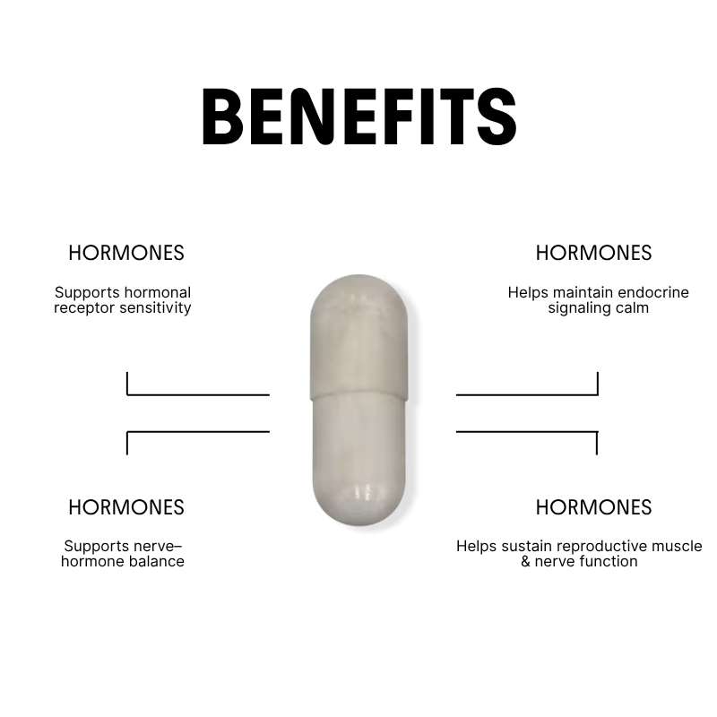 Magnesium for Stress, Metabolism & Hormonal Balance