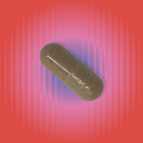 Milk Thistle for Liver & Hormone Metabolism Support