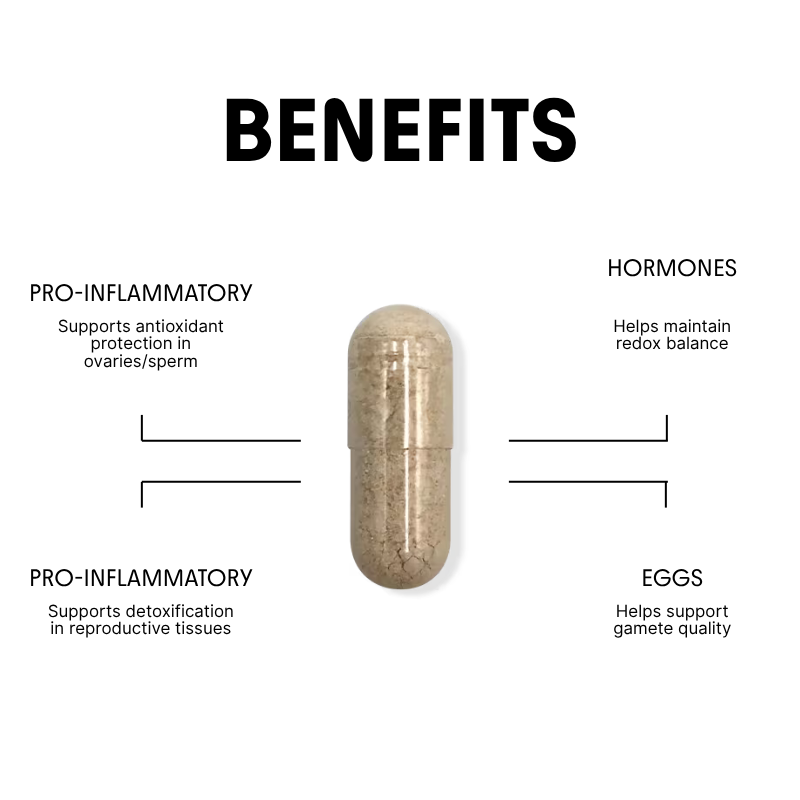 NAC for Metabolic & Egg / Ovarian Protection