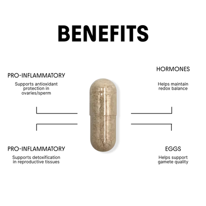 NAC for Metabolic & Egg / Ovarian Protection