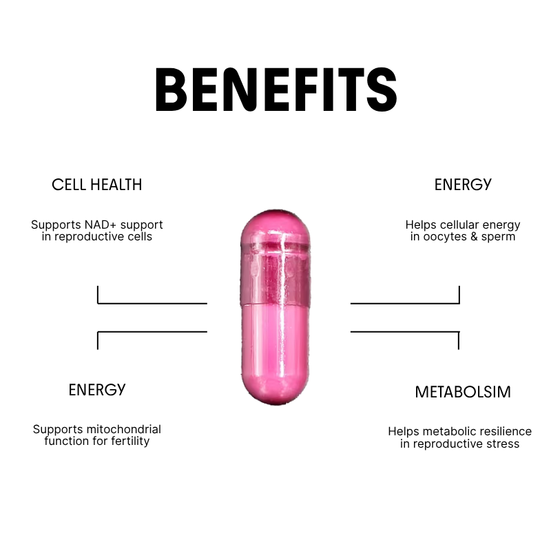 NR (Nicotinamide Riboside) for Fertility & Mitochondrial Support