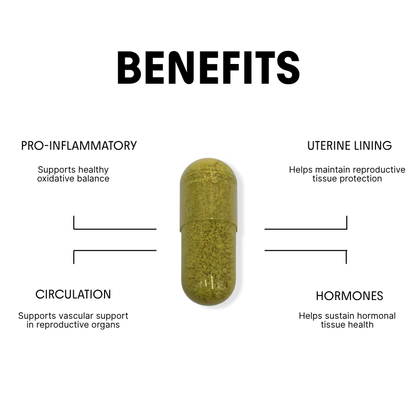 Quercetin for Hormonal & Metabolic Support