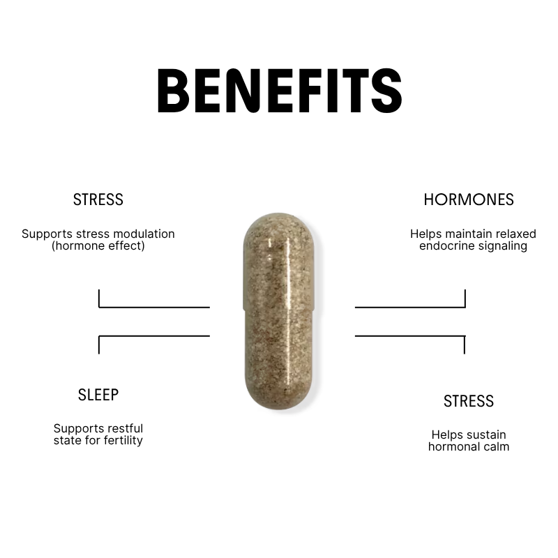 Theanine for Stress & Hormonal Calm