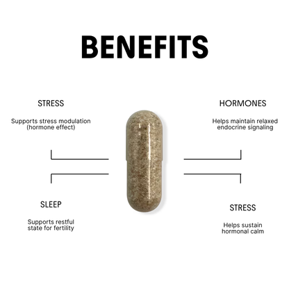 Theanine for Stress & Hormonal Calm