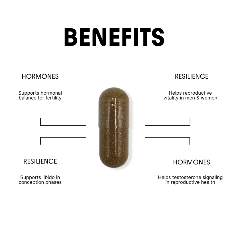 Tribulus for Fertility & Hormone Support