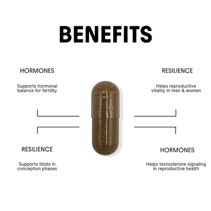 Tribulus for Fertility & Hormone Support
