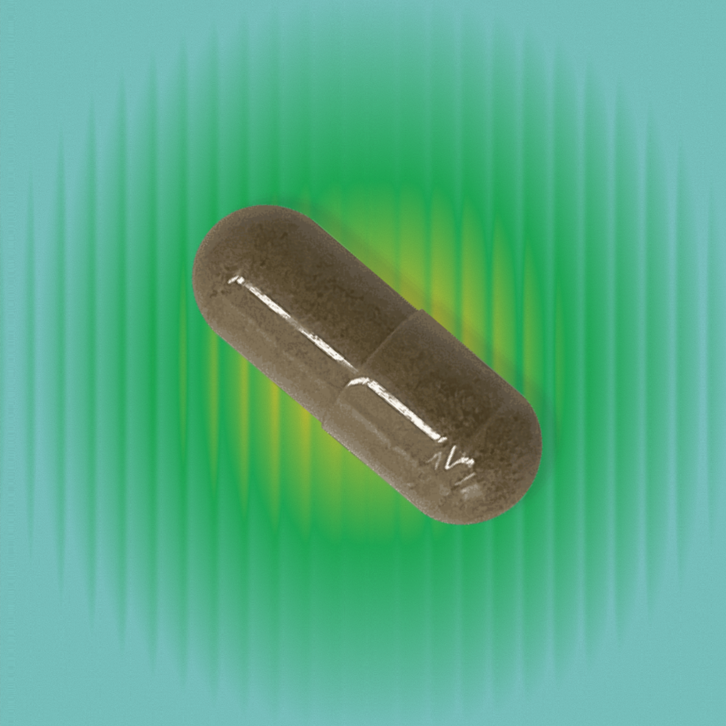 Triphala for Gut & Metabolic Support