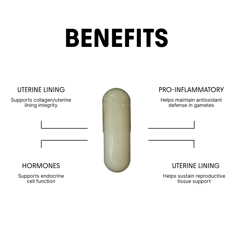 Vitamin C for Blood Health & Ovarian Support