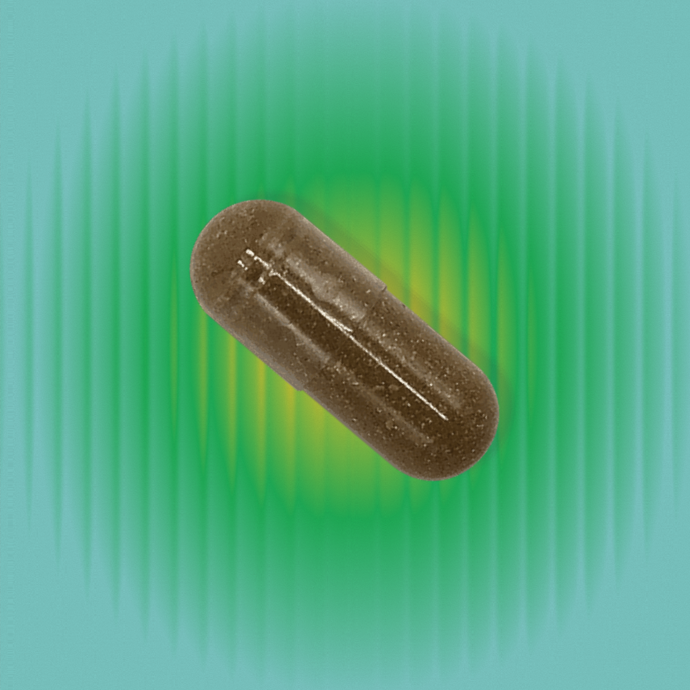 Tribulus for Fertility & Hormone Support