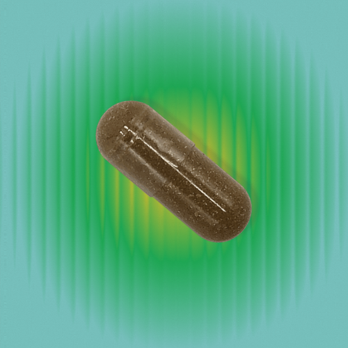 Tribulus for Fertility & Hormone Support